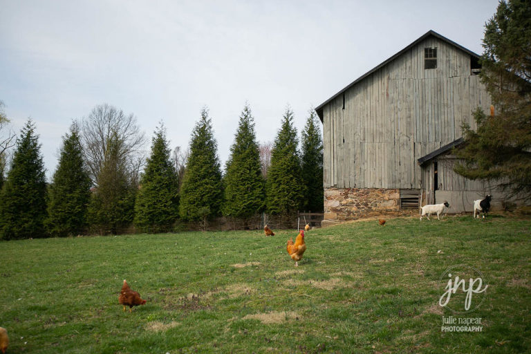 Ballenger Farm, wedding venue in Loudoun County, Purcellville, photo by Julie Napear Photography