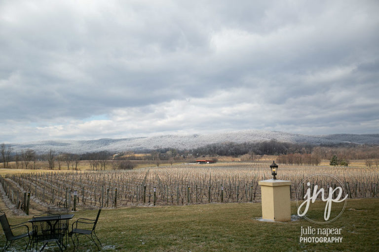 Breaux Vineyards, Northern Virginia Wedding Venue, Photography by Julie Napear Photography
